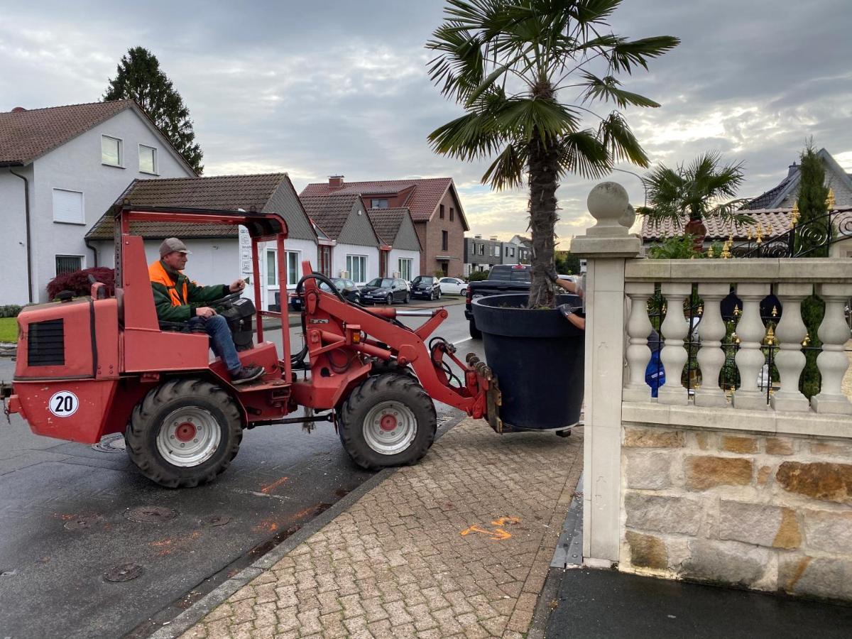 Wilsmann Apartmentvermietung Hövelhof Dış mekan fotoğraf