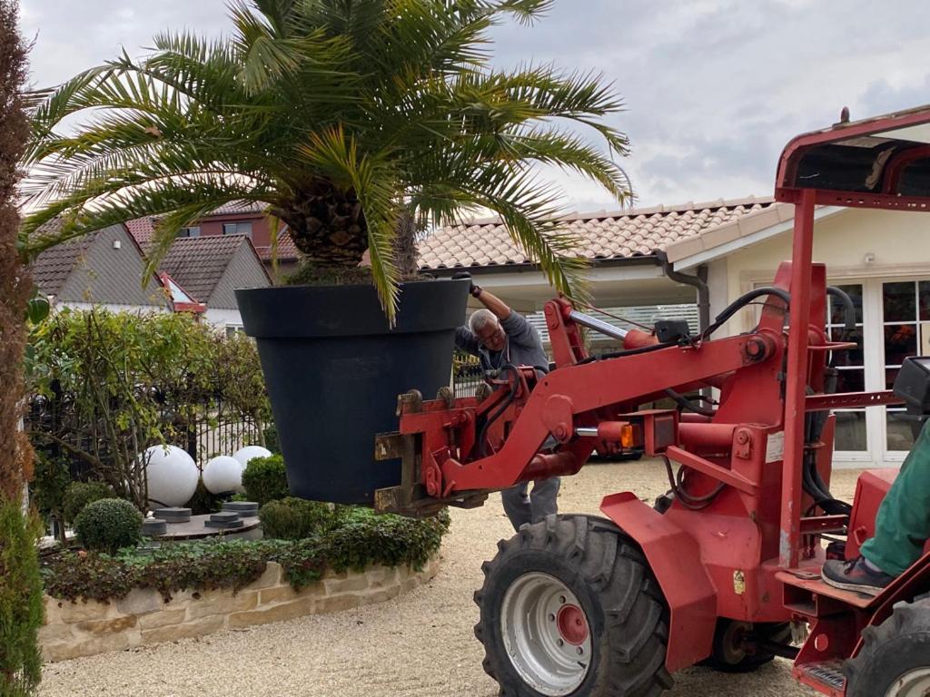 Wilsmann Apartmentvermietung Hövelhof Dış mekan fotoğraf