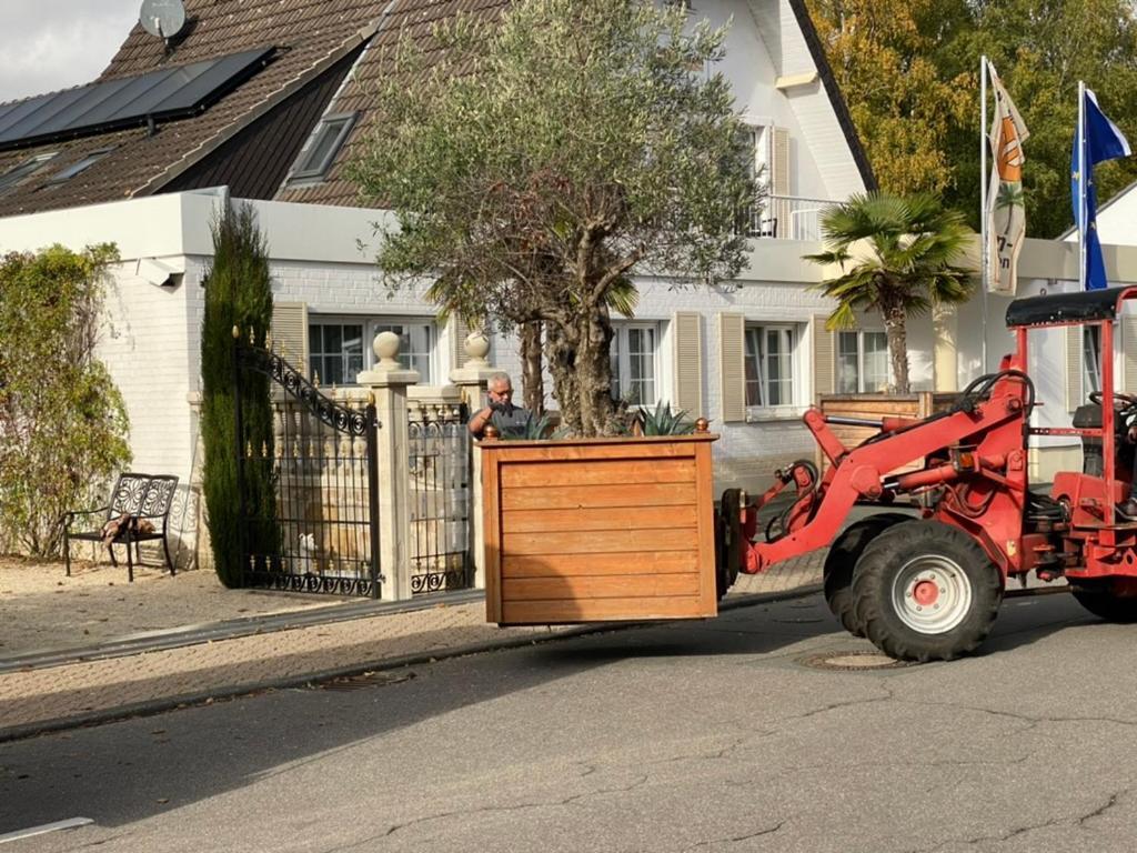 Wilsmann Apartmentvermietung Hövelhof Dış mekan fotoğraf