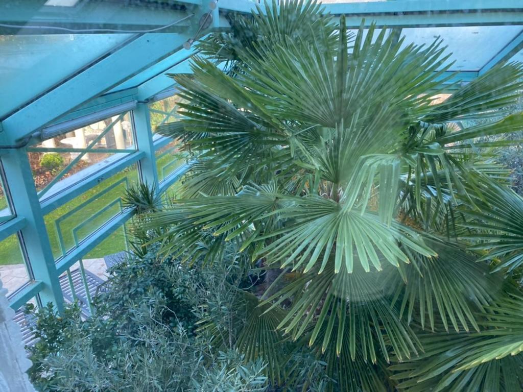 Wilsmann Apartmentvermietung Hövelhof Dış mekan fotoğraf