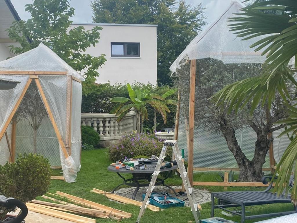 Wilsmann Apartmentvermietung Hövelhof Dış mekan fotoğraf