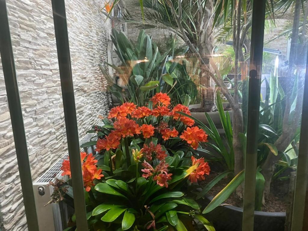 Wilsmann Apartmentvermietung Hövelhof Dış mekan fotoğraf